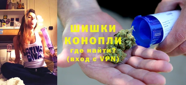 гашик Осинники