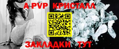 дмт Нальчик