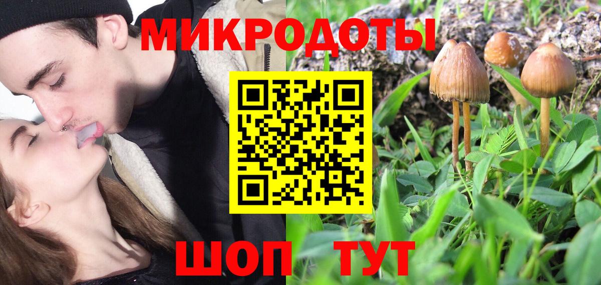 купить наркотики сайты  Вход с VPN  Россошь  Псилоцибиновые грибы GOLDEN TEACHER 