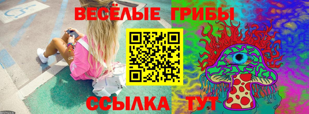 Галлюциногенные грибы мицелий Россошь